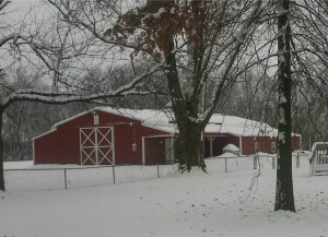 Farm Winter 2012