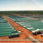 Spirulina Farm