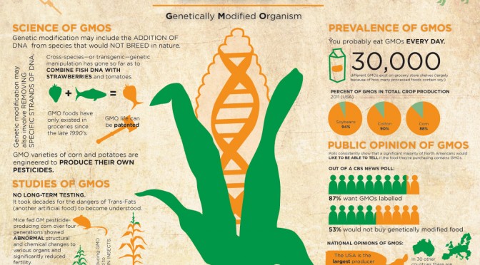 GMO Health News