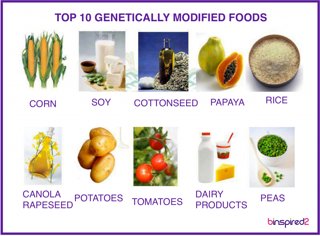 Top 10 GMO Crops