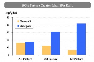 Grass fed beef creates the ideal ratio between Omega 6's and 3's.