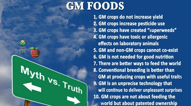 Why we dont need gmos